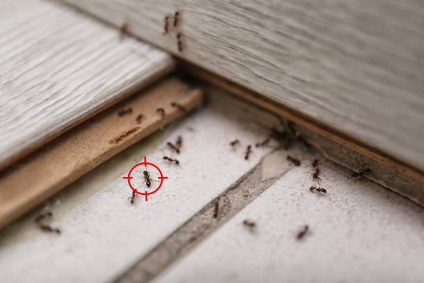 Best Wildlife Control Services  in West Mayfield, PA