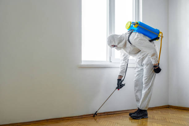 Best Best Pest Control Companies  in West Mayfield, PA