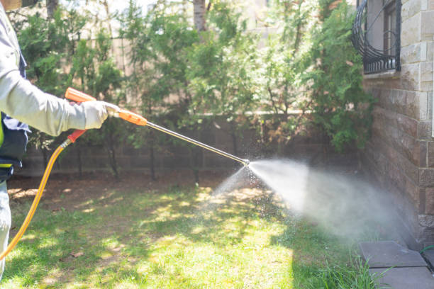 West Mayfield, PA Pest Control Company