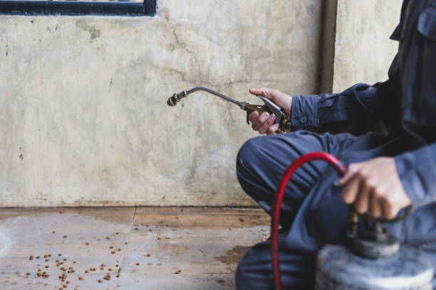 Best Pest Removal Services  in West Mayfield, PA